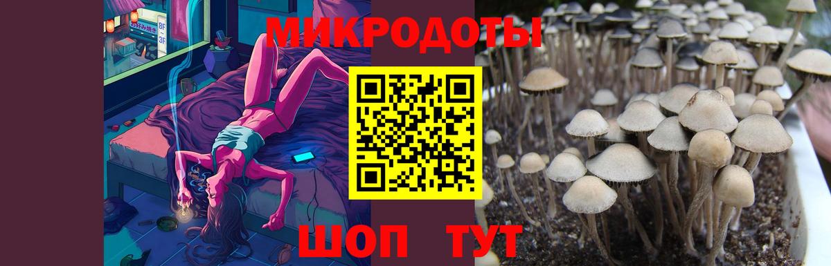 Псилоцибиновые грибы ЛСД Лянтор